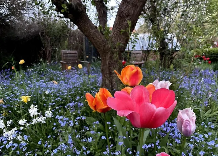 Apartment Crofton Dye House *