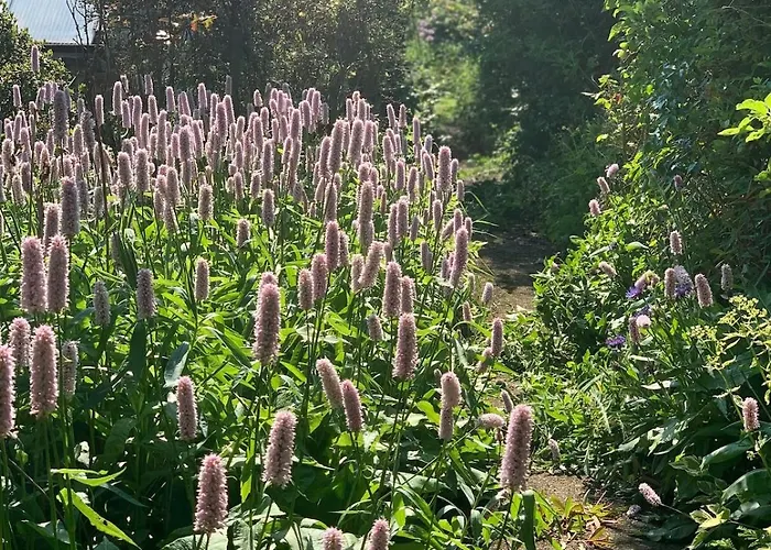 Crofton Dye House Apartment Yarm