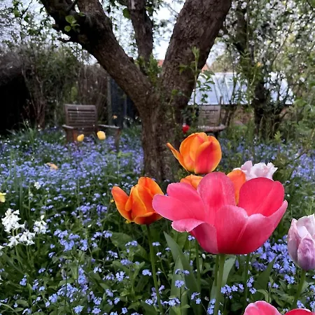 アパート Crofton Dye House *