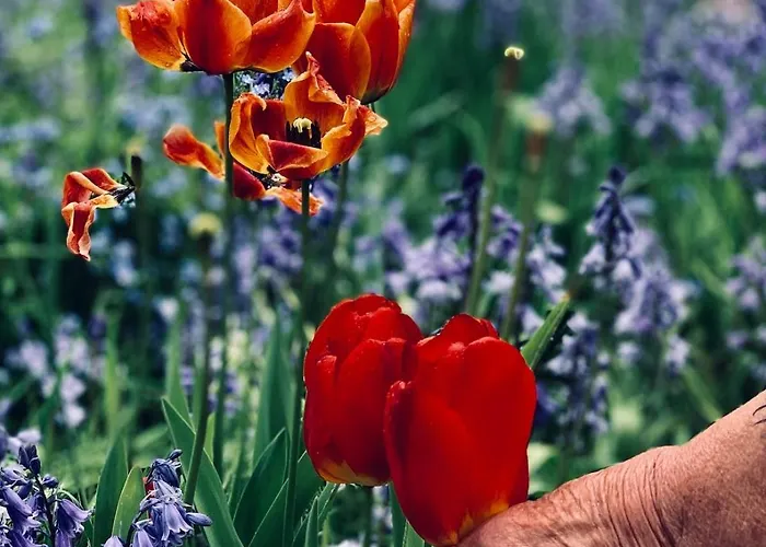 アパート Crofton Dye House ヤーム