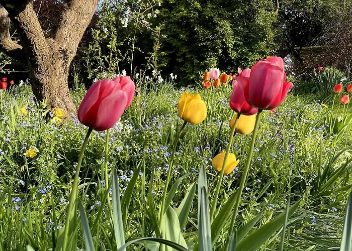 Crofton Dye House アパート